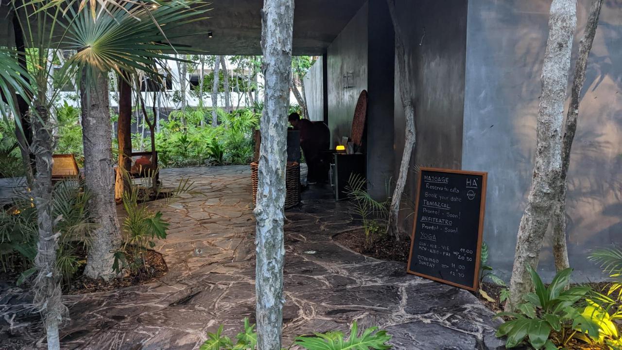 Exclusive Penthouse By Famous Interior Designer By Yeah Appartement Tulum Pueblo Buitenkant foto
