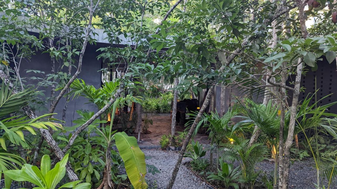 Exclusive Penthouse By Famous Interior Designer By Yeah Appartement Tulum Pueblo Buitenkant foto