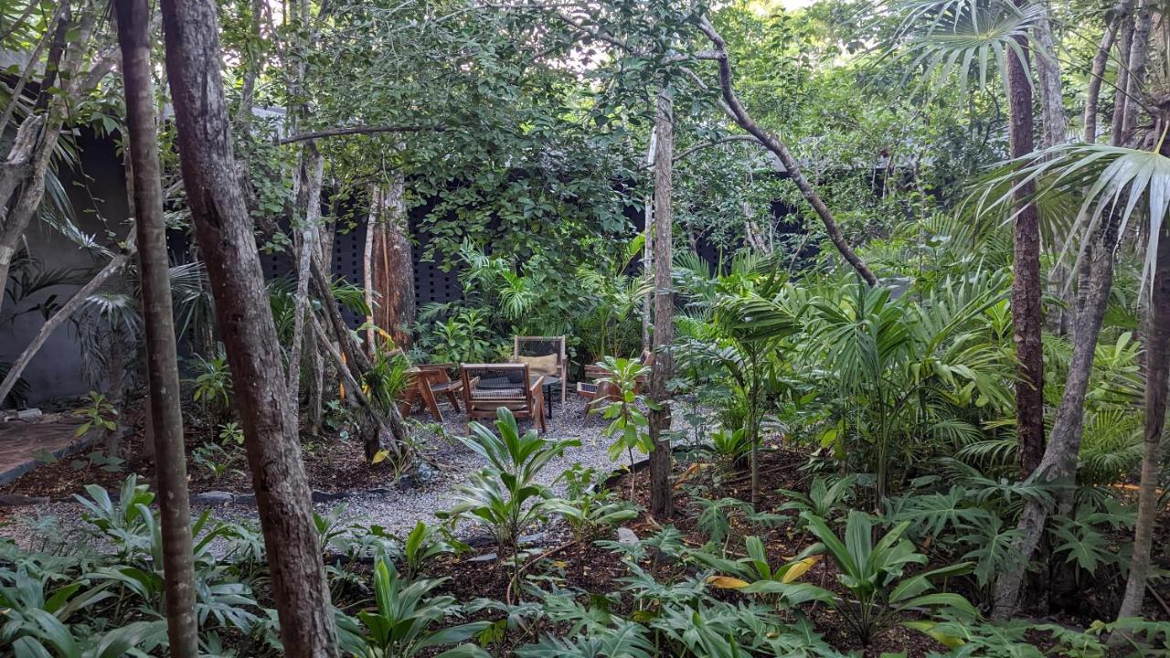 Exclusive Penthouse By Famous Interior Designer By Yeah Appartement Tulum Pueblo Buitenkant foto
