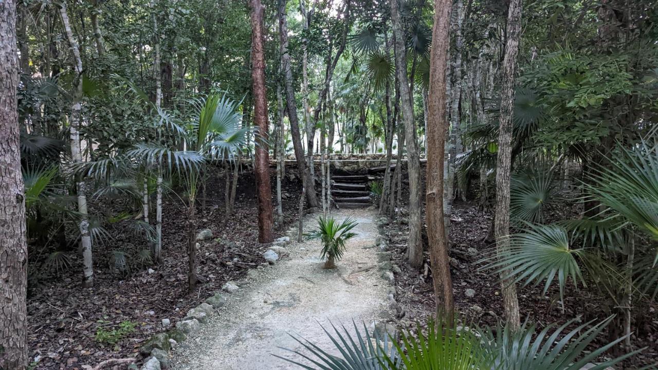 Exclusive Penthouse By Famous Interior Designer By Yeah Appartement Tulum Pueblo Buitenkant foto